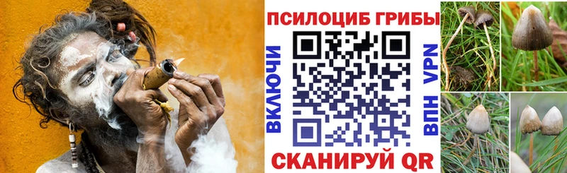 кракен как войти  Курильск  площадка клад  Галлюциногенные грибы Magic Shrooms 