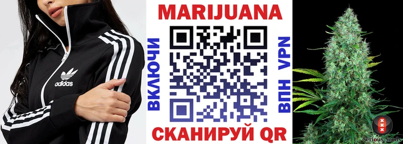 Бошки Шишки планчик  Курильск 